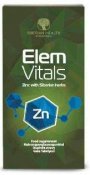 Elem-zn-zinek_12